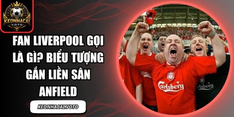 Fan Liverpool Gọi Là Gì? Biểu Tượng Gắn Liền Sân Anfield 5 Fan Liverpool gọi là gì