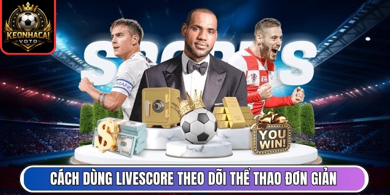 Livescore 241 Cách dùng livescore cho mục tiêu theo dõi thể thao đơn giản